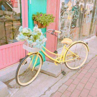 百姓彩票下载中心截图