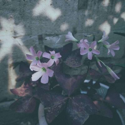 百姓彩票下载中心截图