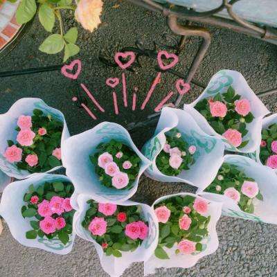 leyu乐鱼下载手机版