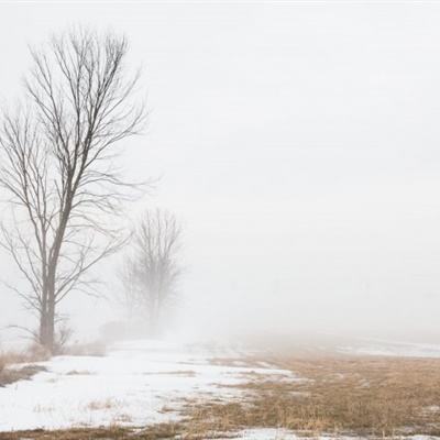 百姓彩票下载中心